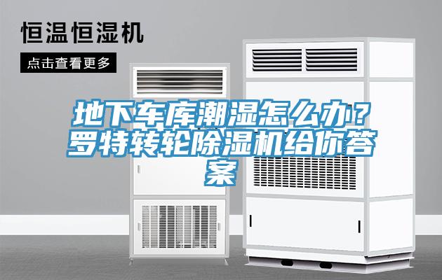 地下車庫潮濕怎麽辦？羅特轉輪草莓视频污污污污給你答案