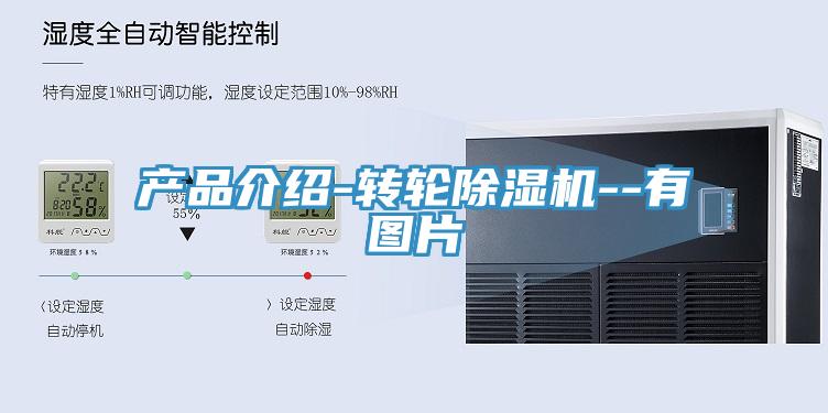 產品介紹-轉輪草莓视频污污污污--有圖片