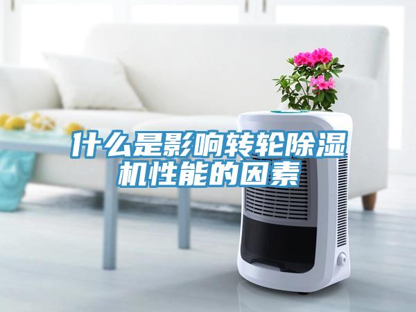 什麽是影響轉輪草莓视频污污污污性能的因素