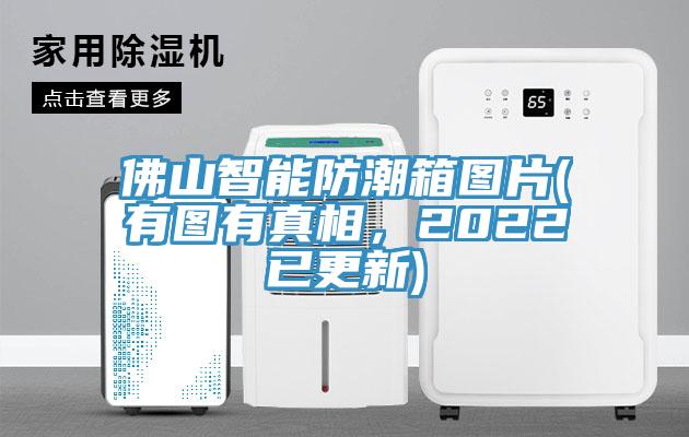 佛山智能防潮箱圖片(有圖有真相，2022已更新)