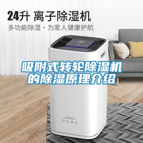 吸附式轉輪草莓视频污污污污的除濕原理介紹