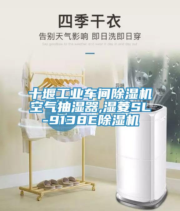 十堰工業車間草莓视频污污污污空氣抽濕器,濕菱SL-9138E草莓视频污污污污