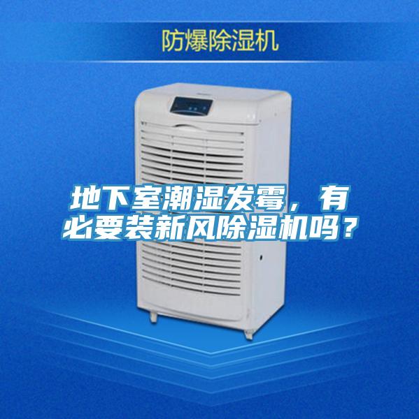 地下室潮濕發黴，有必要裝新風草莓视频污污污污嗎？