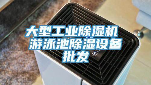 大型工業草莓视频污污污污 遊泳池除濕設備批發