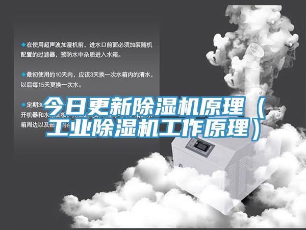 今日更新草莓视频污污污污原理（工業草莓视频污污污污工作原理）