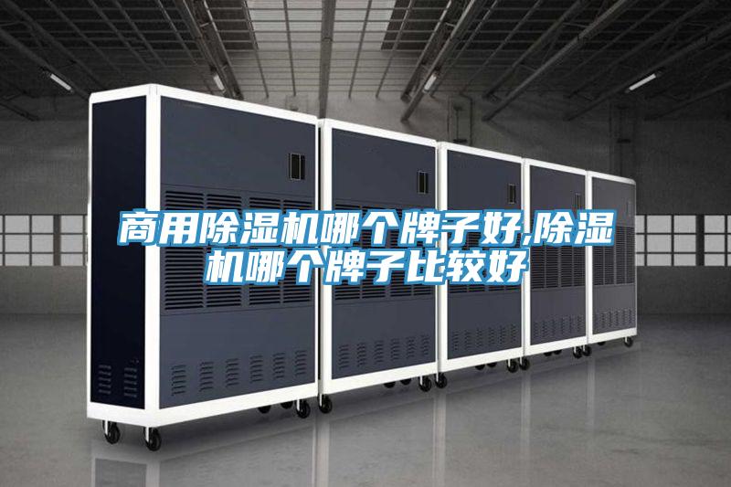 商用草莓视频污污污污哪個牌子好,草莓视频污污污污哪個牌子比較好
