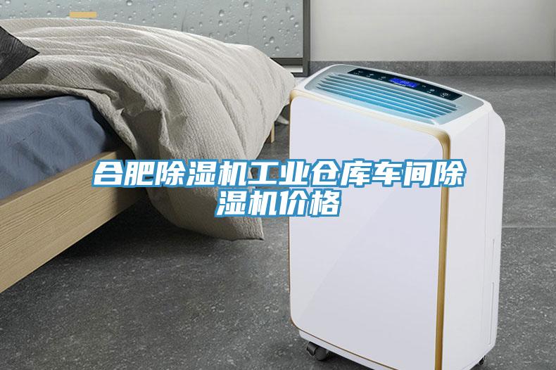 合肥草莓视频污污污污工業倉庫車間草莓视频污污污污價格