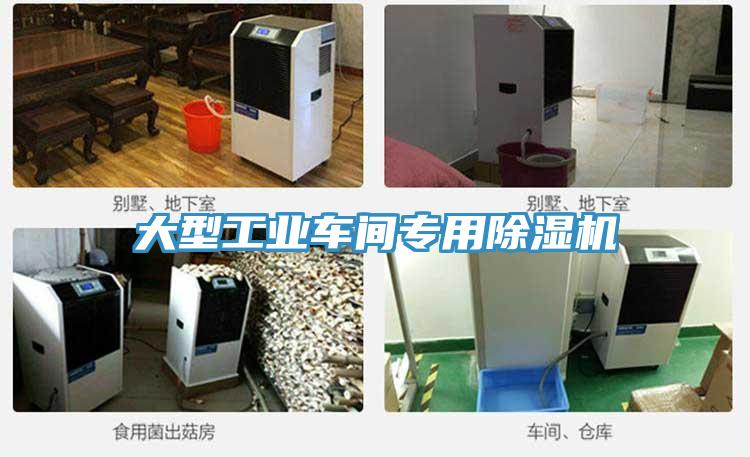 大型工業車間專用草莓视频污污污污