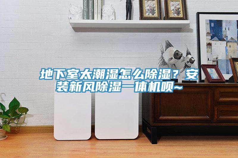 地下室太潮濕怎麽除濕？安裝新風除濕一體機唄~