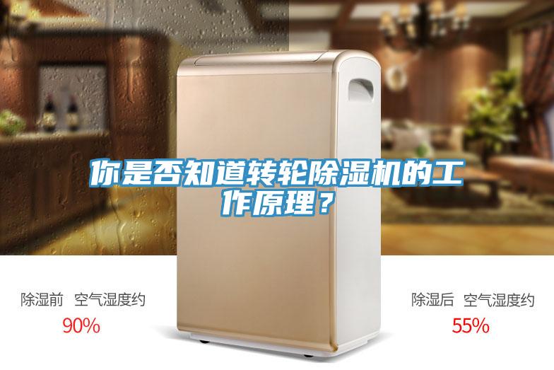 你是否知道轉輪草莓视频污污污污的工作原理？