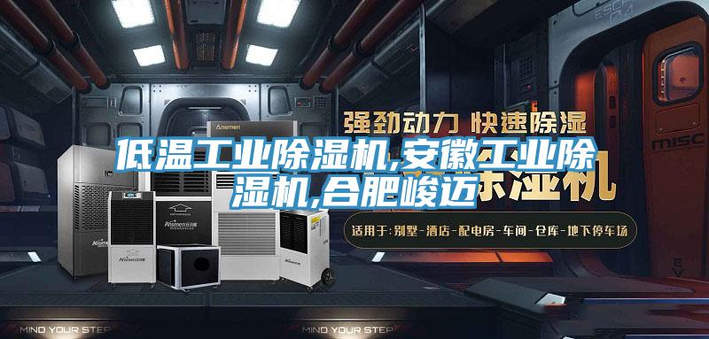 低溫工業草莓视频污污污污,安徽工業草莓视频污污污污,合肥峻邁