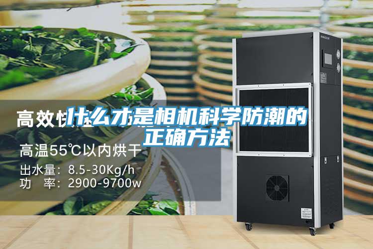 什麽才是相機科學防潮的正確方法
