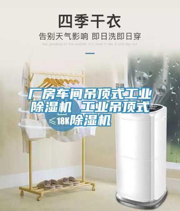 廠房車間吊頂式工業草莓视频污污污污 工業吊頂式草莓视频污污污污