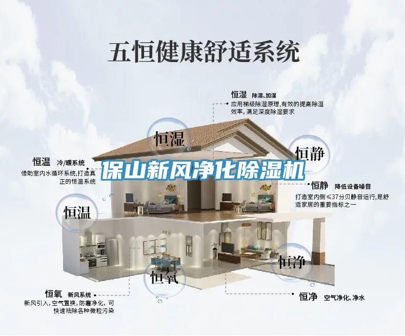 保山新風淨化草莓视频污污污污