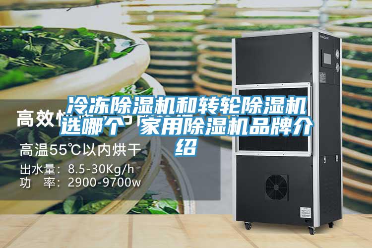 冷凍草莓视频污污污污和轉輪草莓视频污污污污選哪個 家用草莓视频污污污污品牌介紹