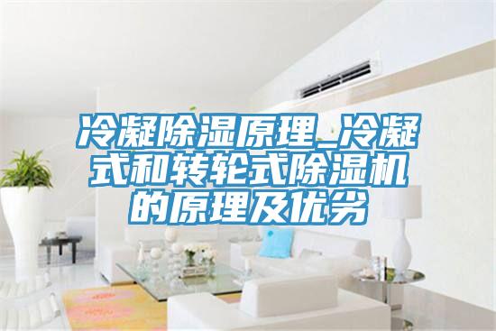 冷凝除濕原理_冷凝式和轉輪式草莓视频污污污污的原理及優劣