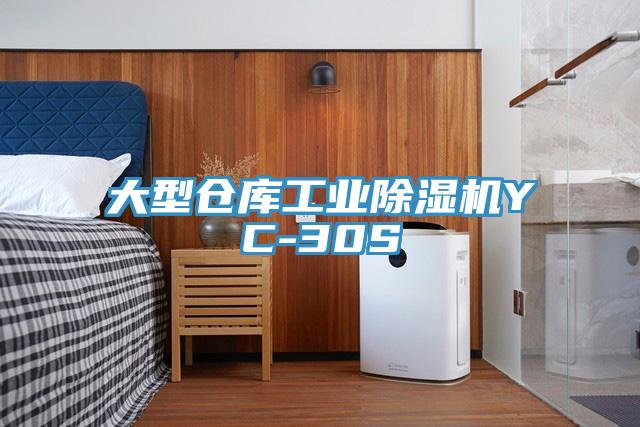 大型倉庫工業草莓视频污污污污YC-30S