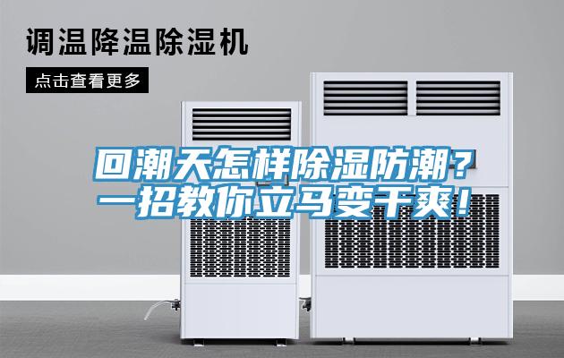 回潮天怎樣除濕防潮？一招教你立馬變幹爽！