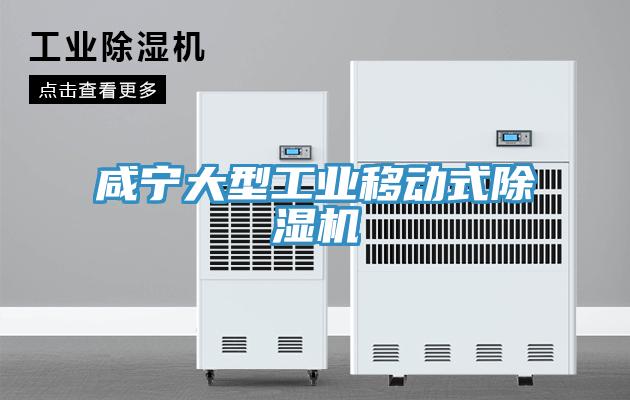 鹹寧大型工業移動式草莓视频污污污污