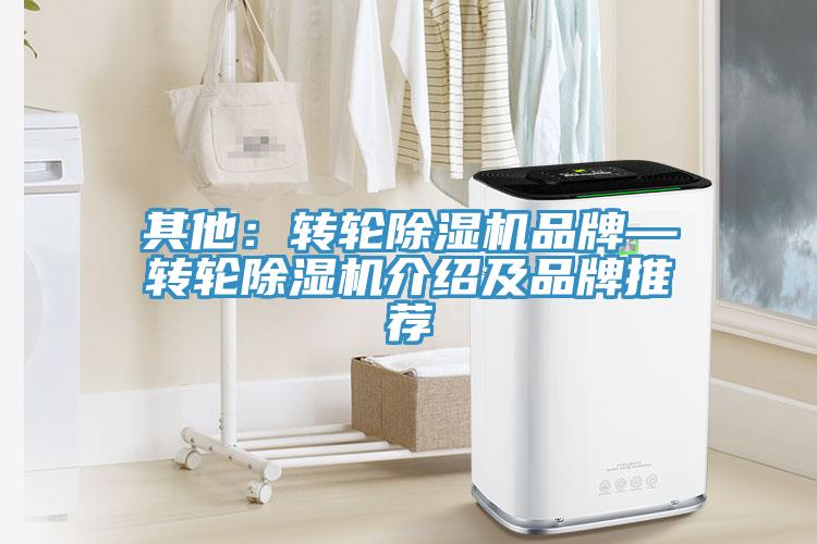 其他：轉輪草莓视频污污污污品牌—轉輪草莓视频污污污污介紹及品牌推薦