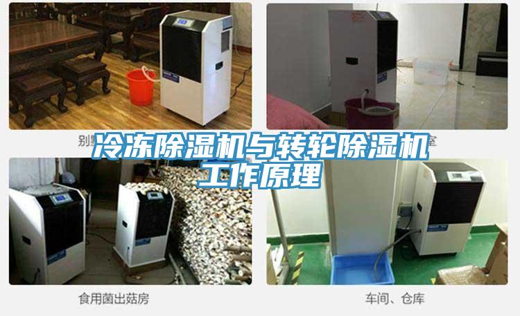 冷凍草莓视频污污污污與轉輪草莓视频污污污污工作原理