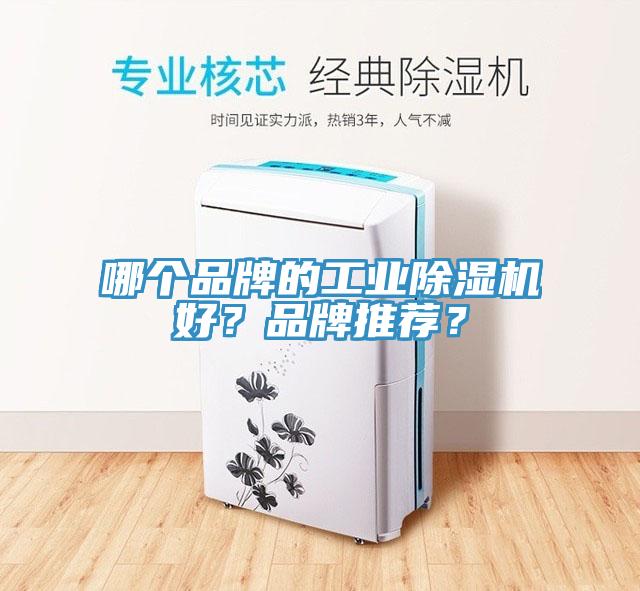 哪個品牌的工業草莓视频污污污污好？品牌推薦？