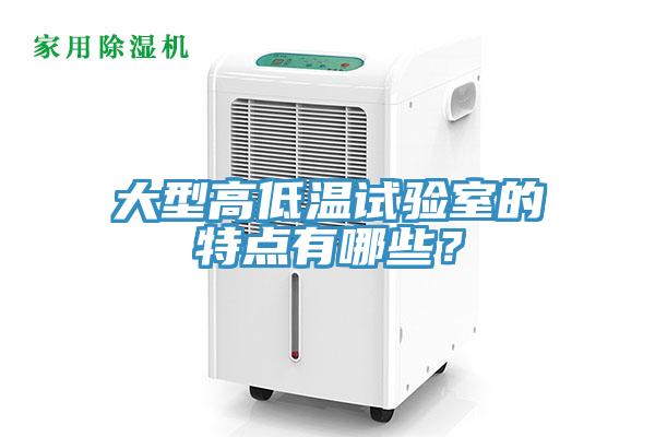 大型高低溫試驗室的特點有哪些？