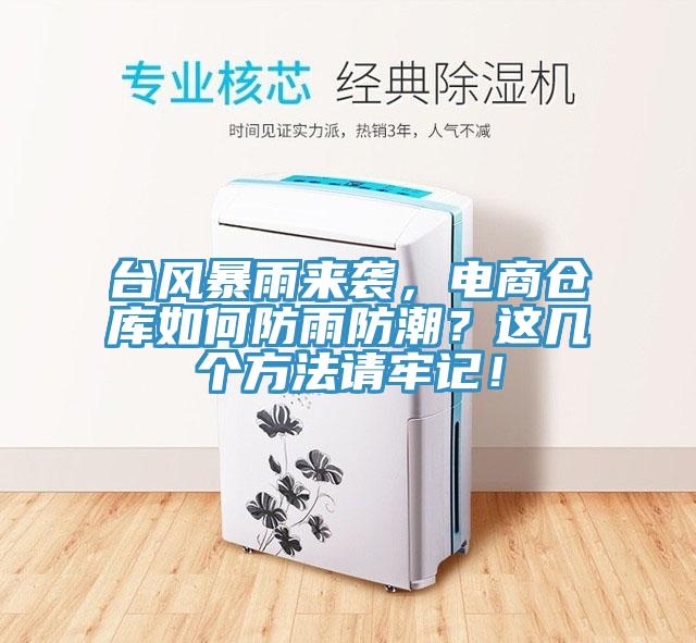 台風暴雨來襲，電商倉庫如何防雨防潮？這幾個方法請牢記！