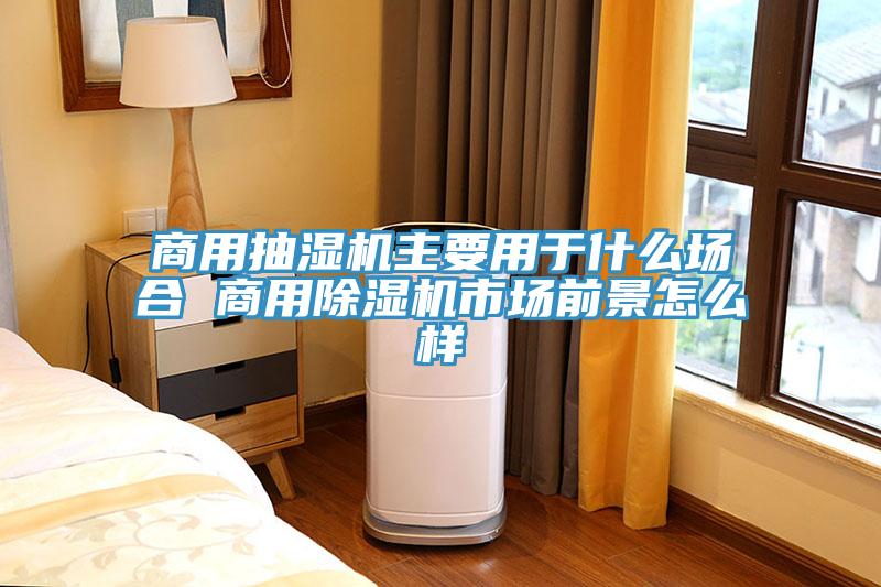 商用抽濕機主要用於什麽場合 商用草莓视频污污污污市場前景怎麽樣