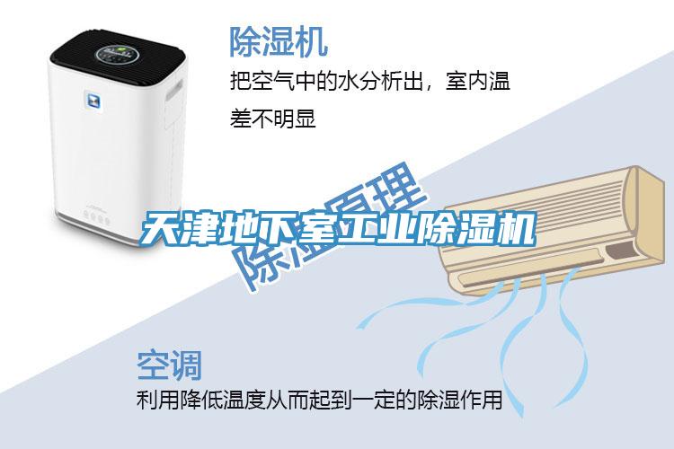 天津地下室工業草莓视频污污污污