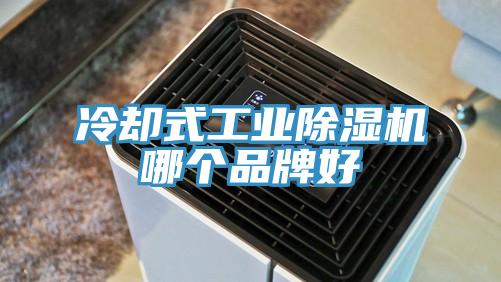 冷卻式工業草莓视频污污污污哪個品牌好