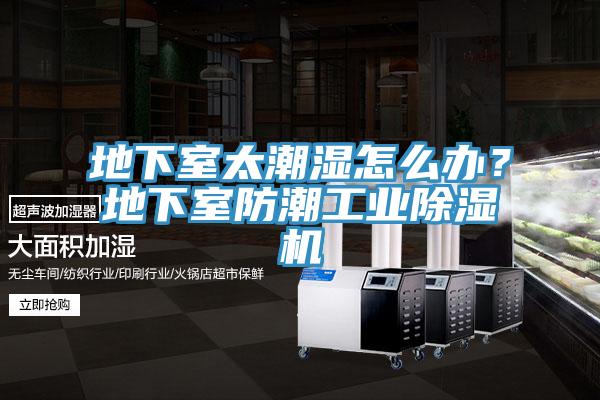 地下室太潮濕怎麽辦？地下室防潮工業草莓视频污污污污