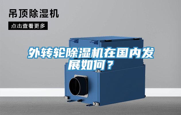 外轉輪草莓视频污污污污在國內發展如何？