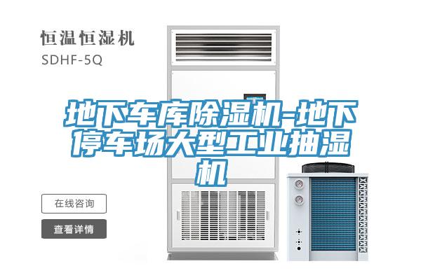 地下車庫草莓视频污污污污-地下停車場大型工業抽濕機
