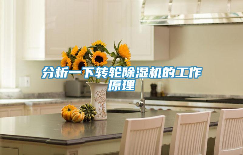 分析一下轉輪草莓视频污污污污的工作原理