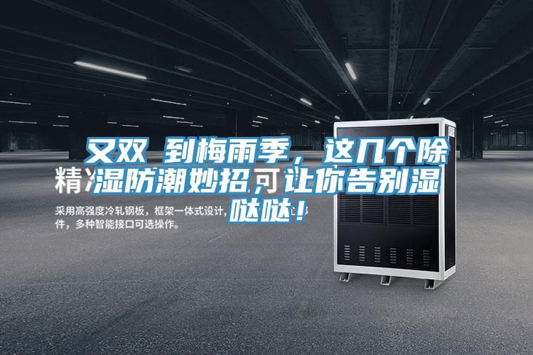 又雙叒到梅雨季，這幾個除濕防潮妙招，讓你告別濕噠噠！