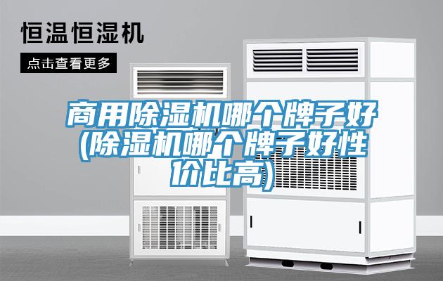 商用草莓视频污污污污哪個牌子好(草莓视频污污污污哪個牌子好性價比高)
