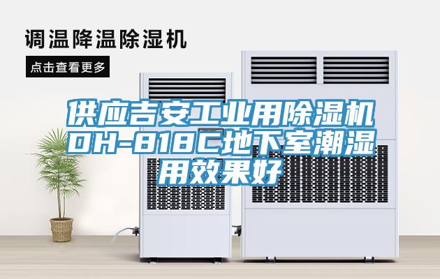 供應吉安工業用草莓视频污污污污DH-818C地下室潮濕用效果好