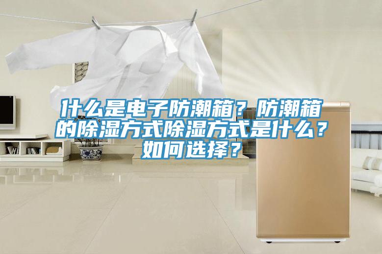 什麽是電子防潮箱？防潮箱的除濕方式除濕方式是什麽？如何選擇？