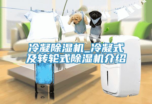 冷凝草莓视频污污污污_冷凝式及轉輪式草莓视频污污污污介紹