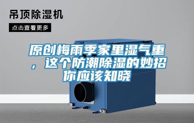 原創梅雨季家裏濕氣重，這個防潮除濕的妙招你應該知曉