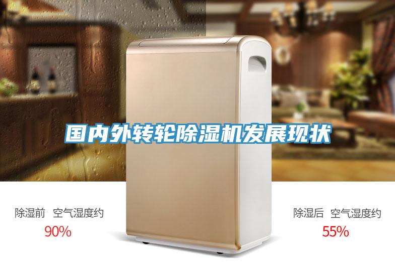 國內外轉輪草莓视频污污污污發展現狀