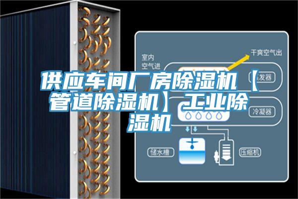 供應車間廠房草莓视频污污污污【管道草莓视频污污污污】工業草莓视频污污污污