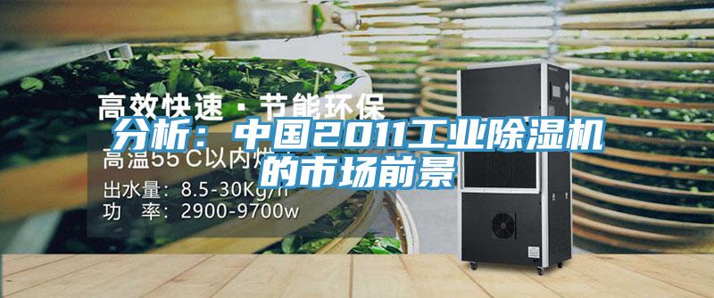 分析：中國2011工業草莓视频污污污污的市場前景