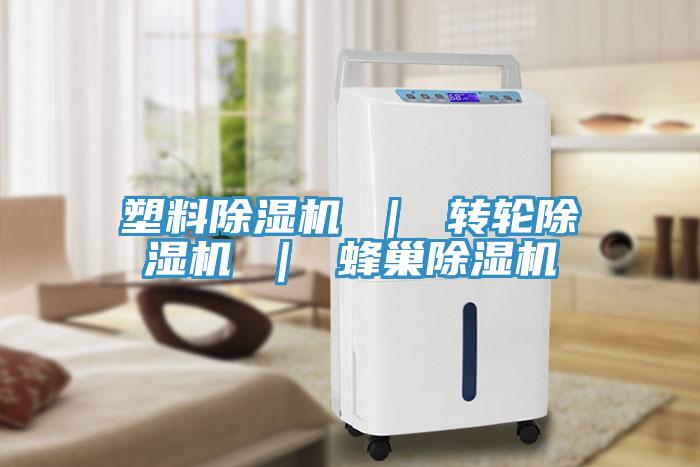 塑料草莓视频污污污污 ｜ 轉輪草莓视频污污污污 ｜ 蜂巢草莓视频污污污污