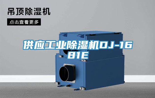 供應工業草莓视频污污污污DJ-1681E