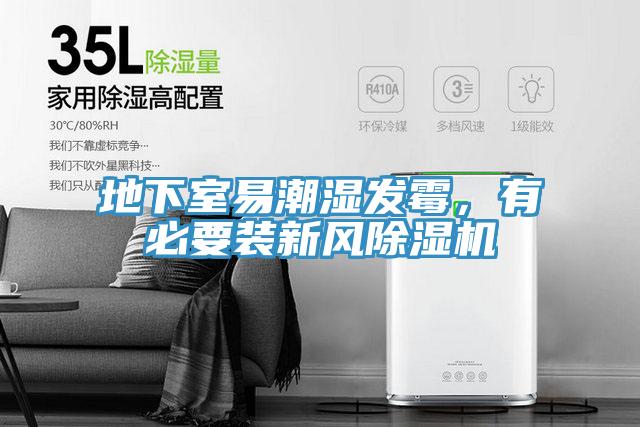 地下室易潮濕發黴，有必要裝新風草莓视频污污污污