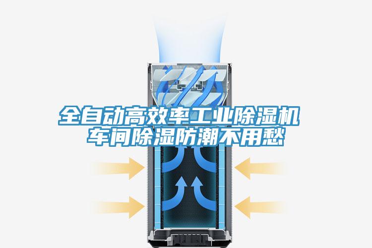 全自動高效率工業草莓视频污污污污 車間除濕防潮不用愁