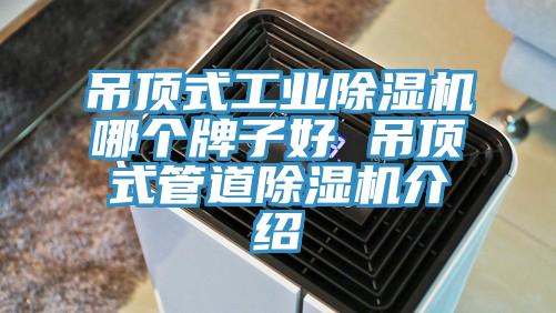 吊頂式工業草莓视频污污污污哪個牌子好 吊頂式管道草莓视频污污污污介紹
