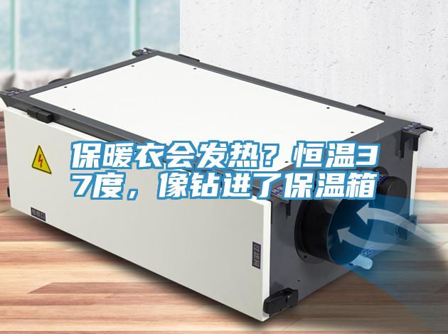 保暖衣會發熱？恒溫37度，像鑽進了保溫箱